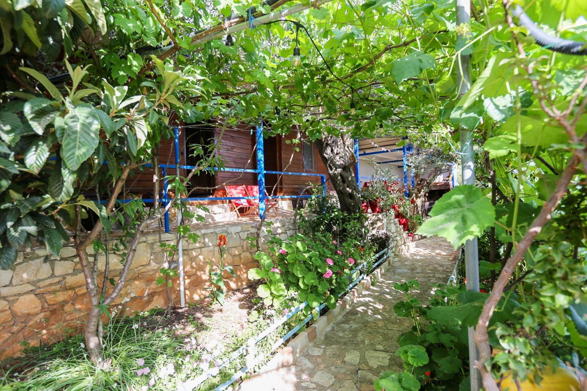 Holiwood Himara