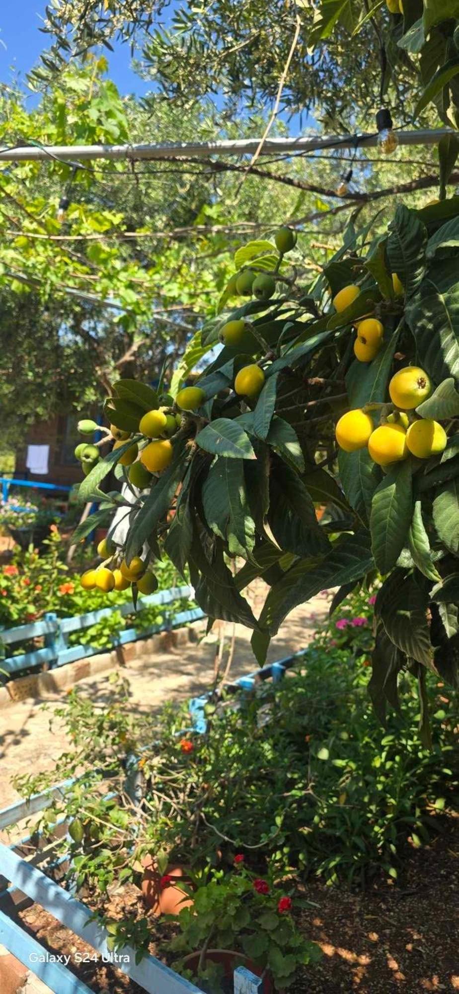 Holiwood Motel Himara