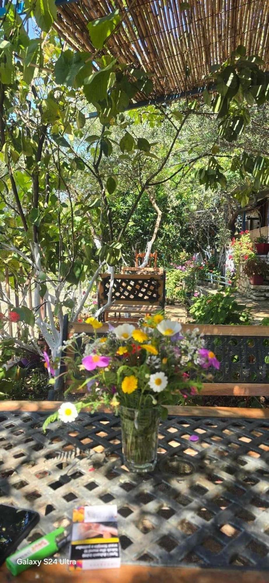 Holiwood Himara