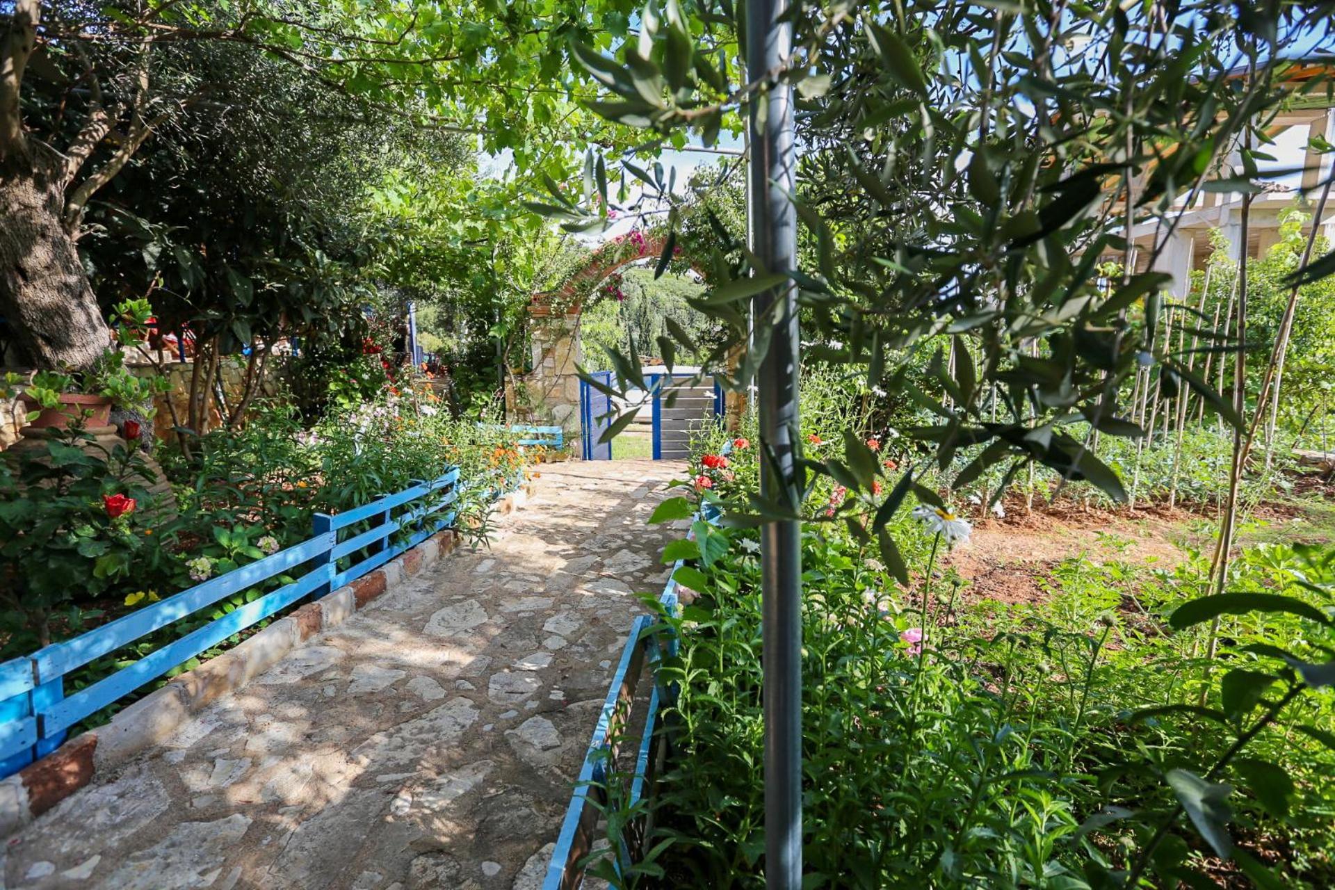 Holiwood * Himare