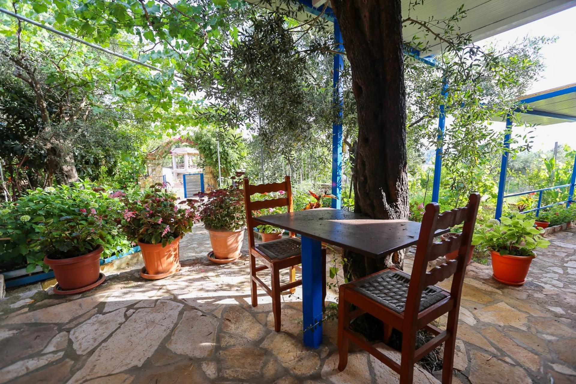 Holiwood Himare